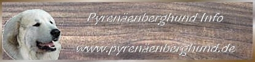 Pyrenaenberghund_Info