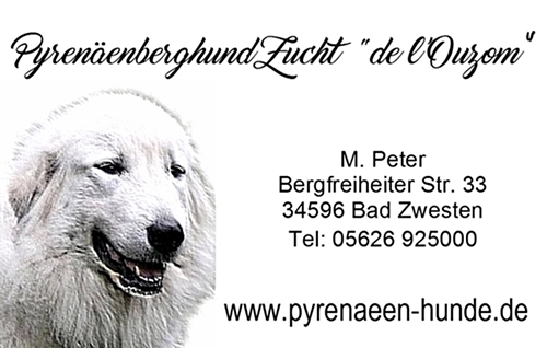 Pyrenaenberghunde_Zuchter1